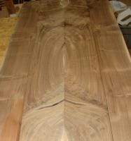 Walnut counter in the rough 2