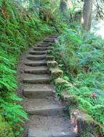 stairway to sweet creek falls